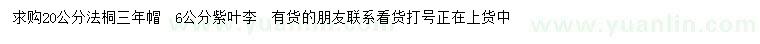 求購(gòu)20公分法桐、6公分紫葉李
