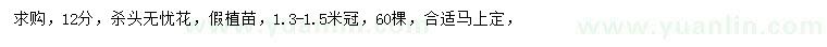 求購12公分無憂花