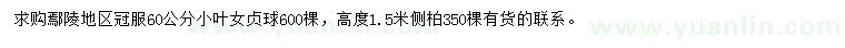 求購冠幅60公分小葉女貞球、高1.5米側(cè)柏