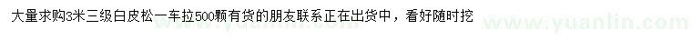 求購3米白皮松