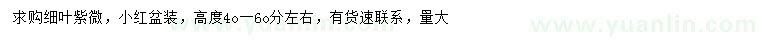 求購高40-60公分左右細葉紫薇