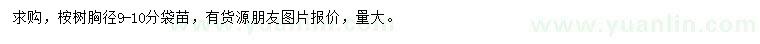 求購胸徑9-10公分桉樹