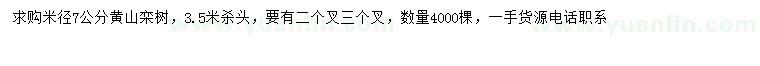 求購(gòu)米徑7公分黃山欒樹