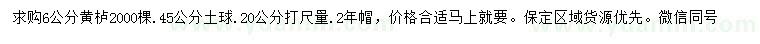 求購20量6公分黃櫨