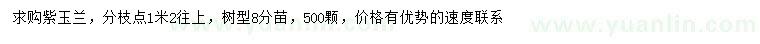求購紫玉蘭