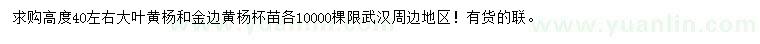 求購高40公分左右大葉黃楊、金邊黃楊