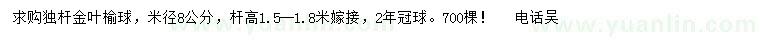 求購米徑8公分金葉榆球