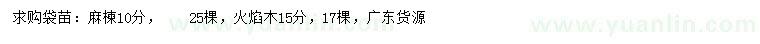 求購(gòu)10公分麻楝、15公分火焰木