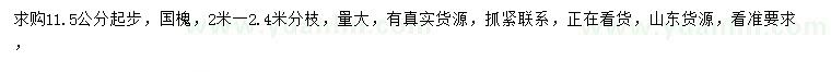 求購(gòu)11.5公分起步國(guó)槐