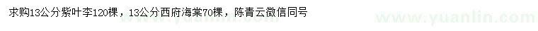 求購(gòu)13公分紫葉李、西府海棠