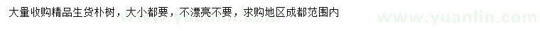 求購(gòu)生貨樸樹(shù)