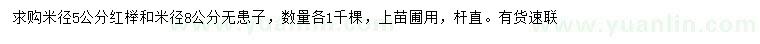 求購(gòu)米徑5公分紅櫸、米徑8公分無患子