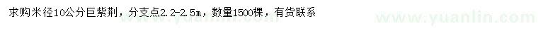 求購米徑10公分巨紫荊
