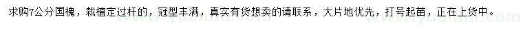 求購7公分國槐