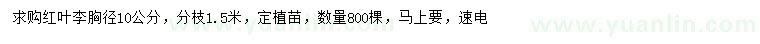 求購胸徑10公分紅葉李