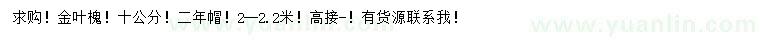 求購10公分金葉槐