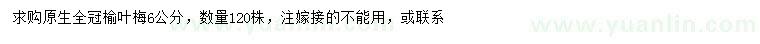 求購6公分榆葉梅