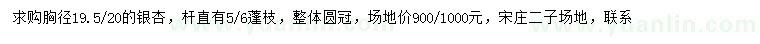 求購胸徑19.5-20公分銀杏