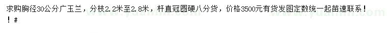 求購(gòu)胸徑30公分廣玉蘭
