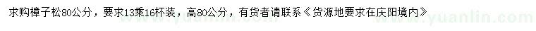 求購高80公分樟子松