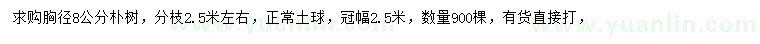 求購(gòu)胸徑8公分樸樹(shù)