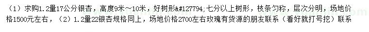 求購1.2量17、22公分銀杏