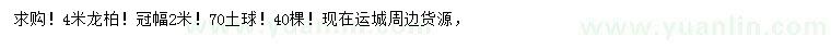 求購(gòu)4米龍柏