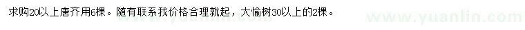 求購20公分以上糖槭