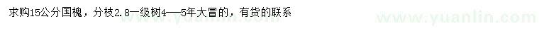 求購15公分國槐