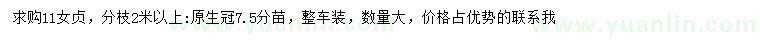 求購11公分女貞
