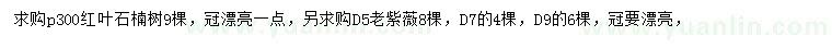 求購冠幅300公分紅葉石楠、地徑5、7、9公分老紫薇