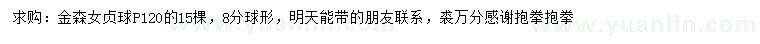 求購冠幅120公分金森女貞球