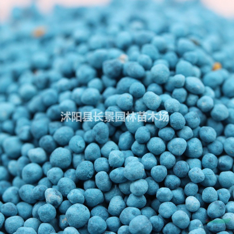 紅三葉種子價(jià)格
