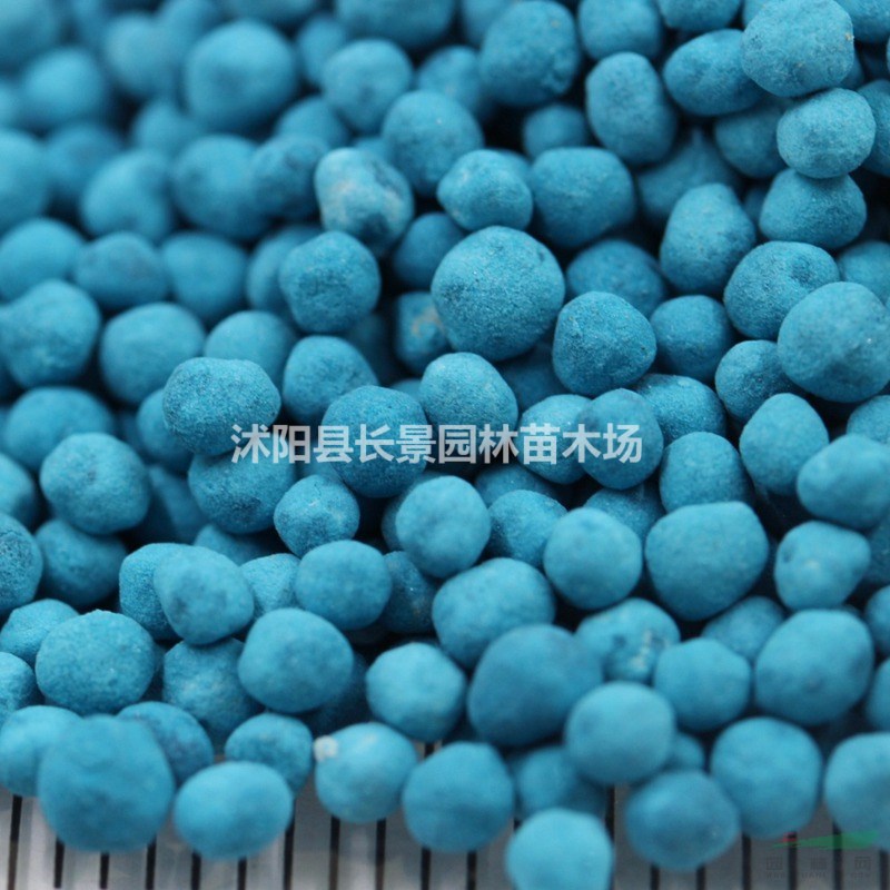 紅三葉種子價(jià)格