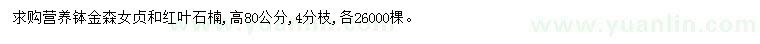 求購高80公分金森女貞、紅葉石楠