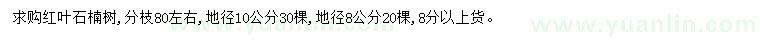 求購地徑8、10公分紅葉石楠