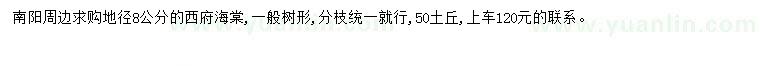 求購地徑8公分西府海棠