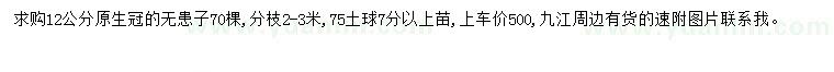 求購12公分無患子