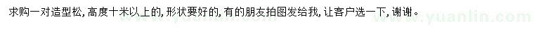 求購高10米以上造型松