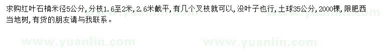 求購米徑5公分紅葉石楠