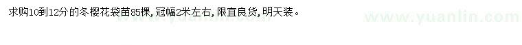 求購10-12公分冬櫻花