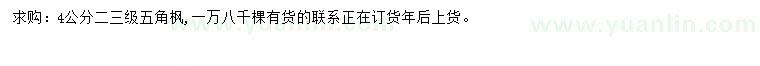 求購4公分五角楓