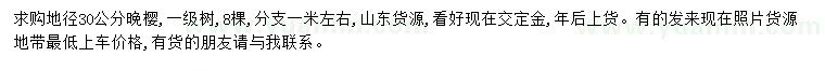 求購地徑30公分晚櫻