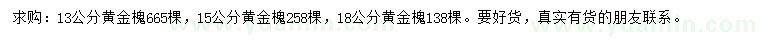 求購13、15、18公分黃金槐