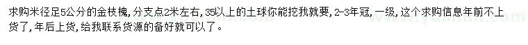 求購米徑5公分金枝槐