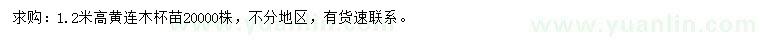 求購高1.2米黃連木