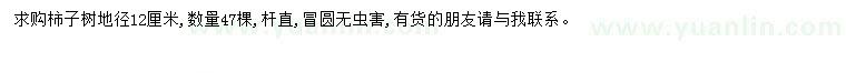 求購地徑12公分柿子樹