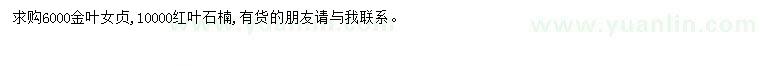 求購金葉女貞、紅葉石楠