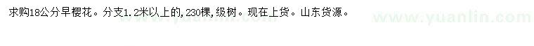 求購(gòu)18公分早櫻