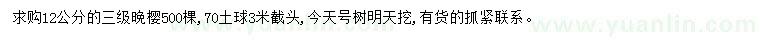 求購12公分晚櫻
